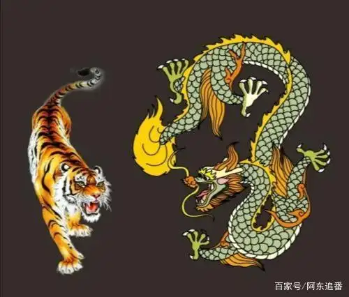 别再以为踢爆电线杆的只有毛利兰了!掌中老虎告诉你什么叫暴力