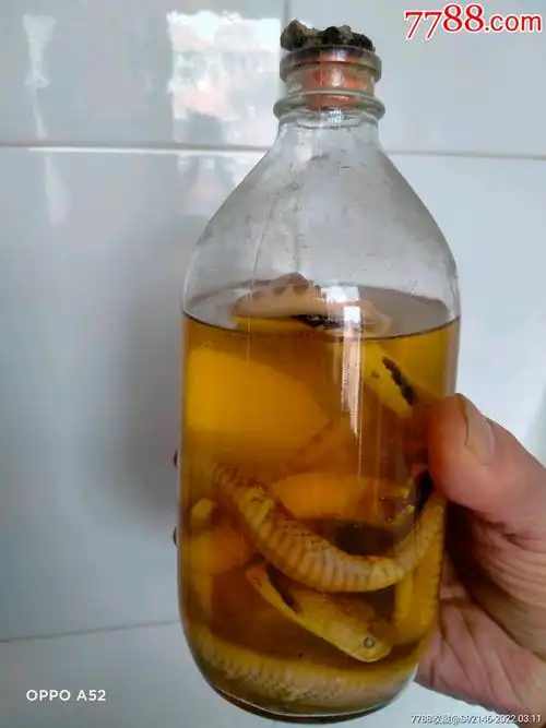 蛇药酒