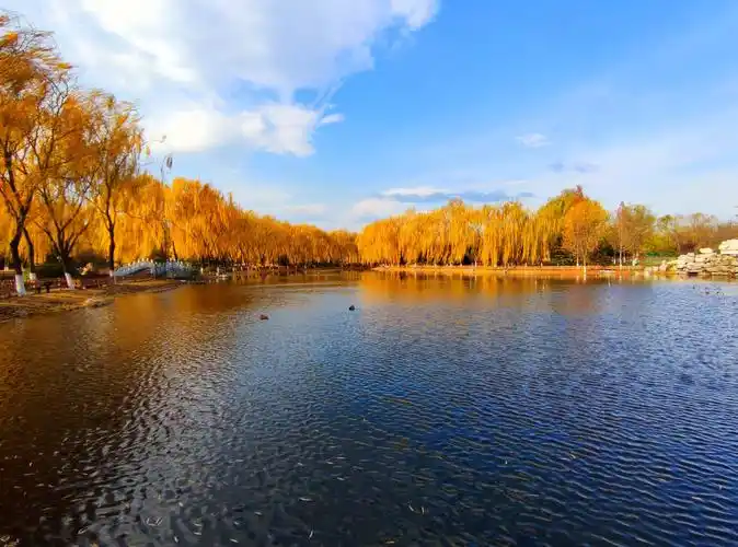 八家郊野公园初冬美景 - 美篇