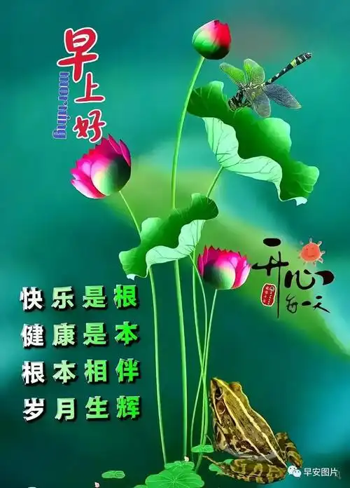 2023年7月19日最新早上好图片表情大全问候祝福语平安如意