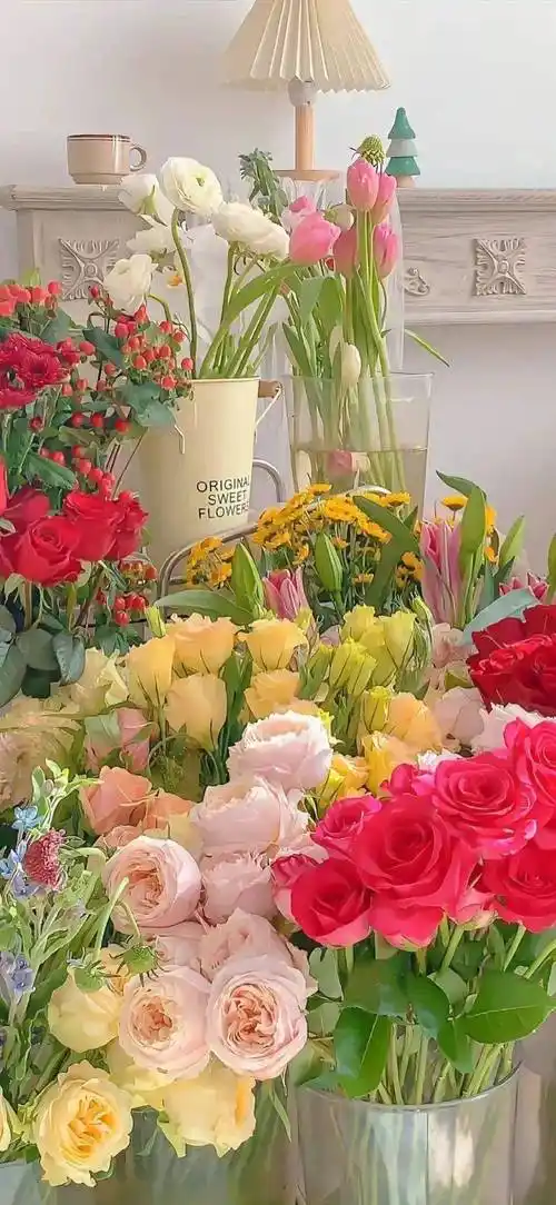 壁纸|干净且治愈的全屏壁纸