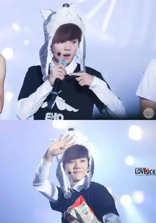 歌手鹿晗##鹿晗