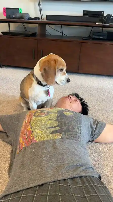 我的狗好英俊,我老公好像要饭的乞丐