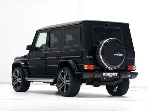 2016款巴博斯g500官图