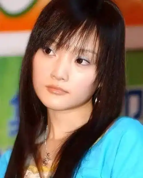 "夜宿门"事件,如同蝴蝶效应一般,不仅对李小璐的个人生活和事业造成了