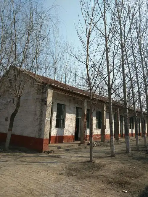 大拆搞大建,学校四座瓦房即将看不见,这些图片都非常的珍贵哦.