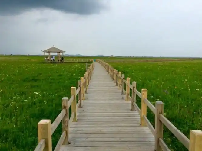 张家口沽源五花草甸