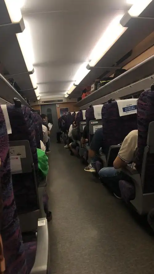 其它 tpt在普宁住院的日子 写美篇从深圳北站坐高铁回葵潭站下.