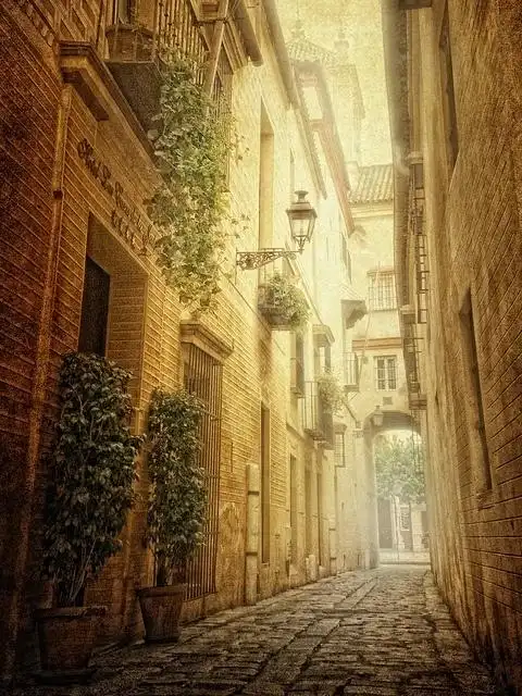 paris (2)#路#唯美 小清新 治愈 大气磅礴 摄影 人物 植物 怀旧