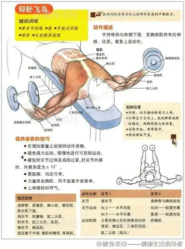 【仰卧飞鸟】手持哑铃向体侧下落,至胸部肌肉有拉伸感,还原,重复上述