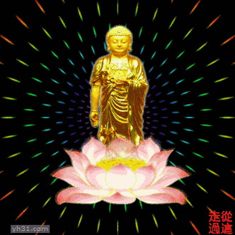 海之通师兄给大家拜年啦--海之通的空间,学佛网个人空间