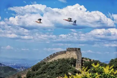 祖国山河披锦绣