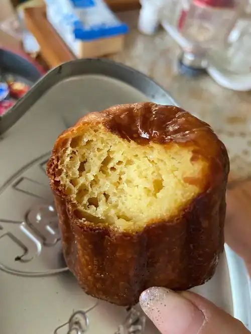 能吃上祥祥面包可真不容易