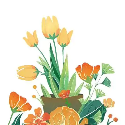 彩色手绘卡通小清新花朵花草盆栽元素png素材