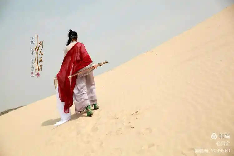 大漠沙如雪,仗剑天涯行