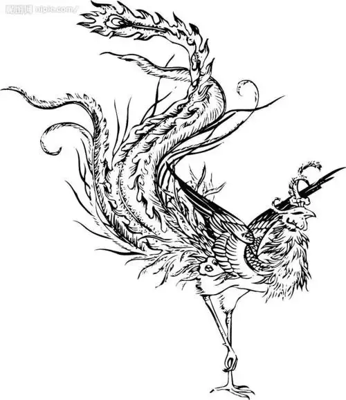 凤图片