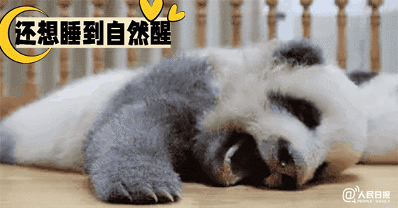 一组熊猫版节后综合征表情包↓↓哪张是你现在的状态?