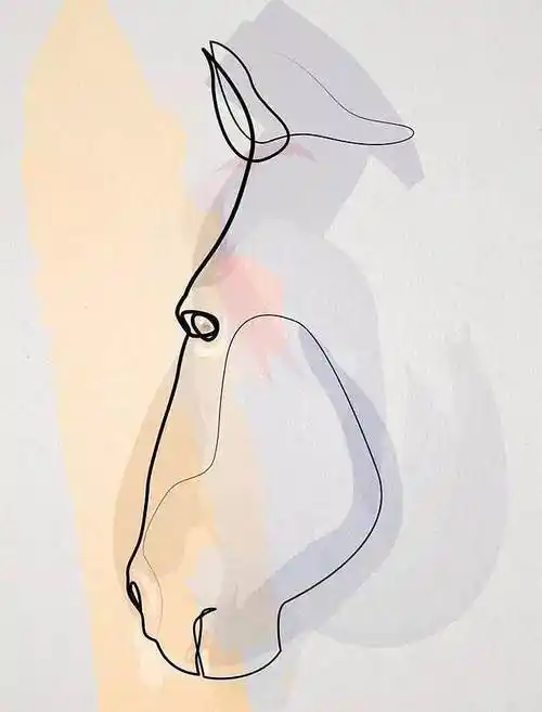 比毕加索犀利的一笔画高手法国的oneline极简画作者quibe