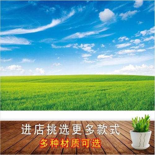 大草原墙贴画蓝天白云自然景色海报壁画宿舍壁纸绿色草地风景画