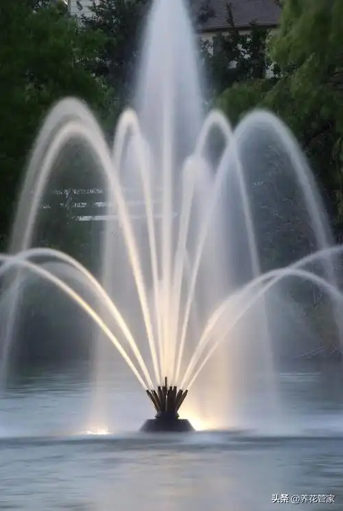 描写音乐喷泉的优美句子一句话赞美喷泉简短