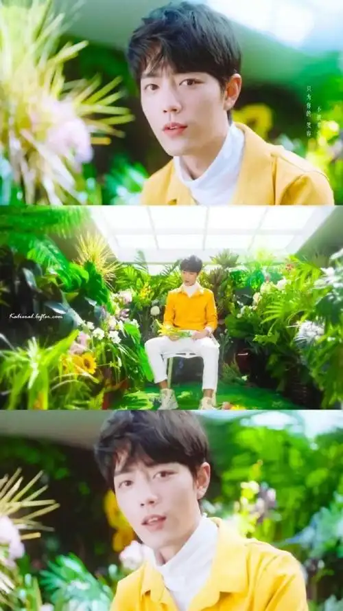 20190830肖战绿色系手机壁纸