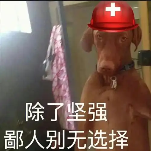 向我开炮考研中戏day71