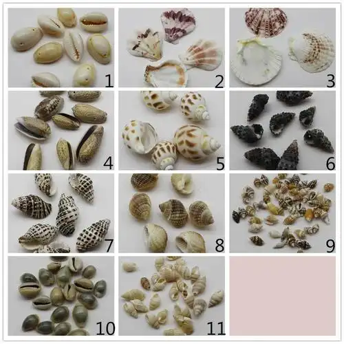 trc009 品牌名称 唯独工艺 形状 真正的贝壳 材料 天然贝壳 工艺