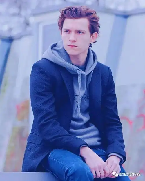 明星美照vol872汤姆赫兰德