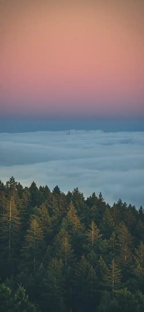 壁纸 风景 摄影 桌面 690_1495 竖版 竖屏 手机