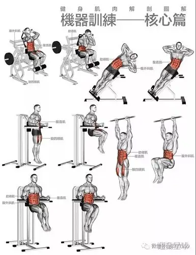 如何用各种器械练肌肉的详细图解