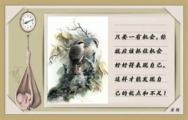 真正的涵养和品位