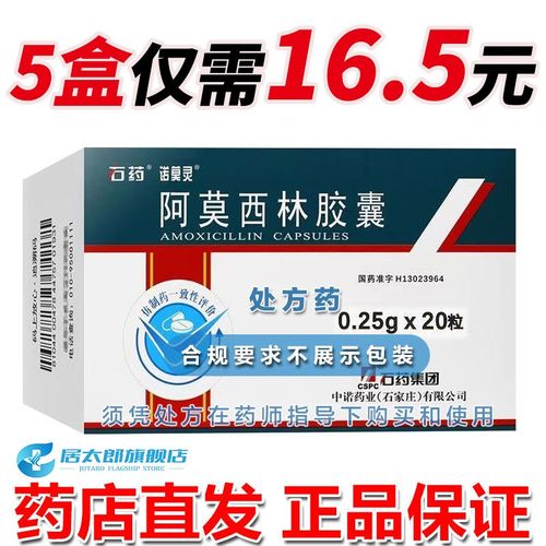 石药 阿莫西林胶囊 0.