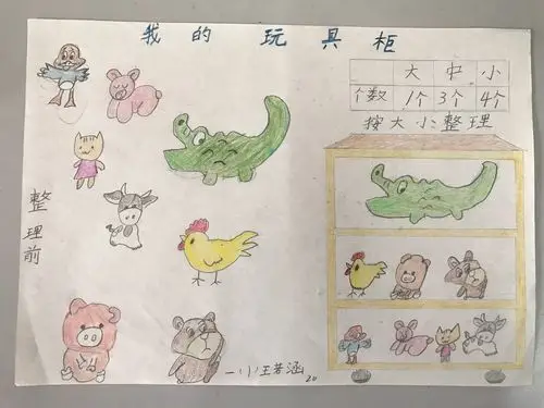 "生活中的分类与整理"数学小报展示