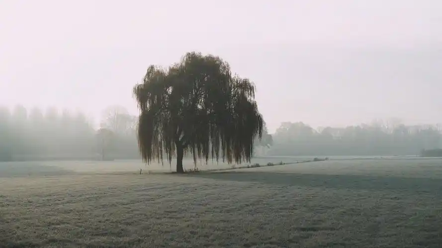 电脑ipad壁纸|ipad|壁纸|电脑_新浪新闻