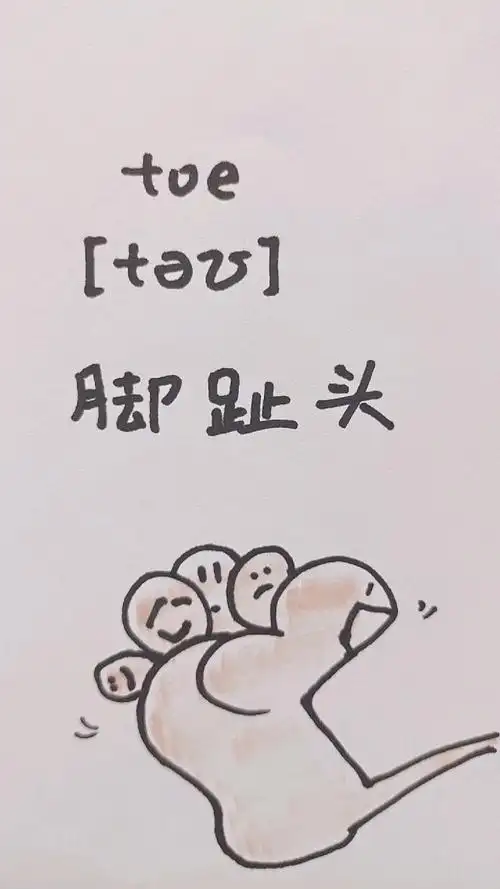 简笔漫画.toe脚趾头
