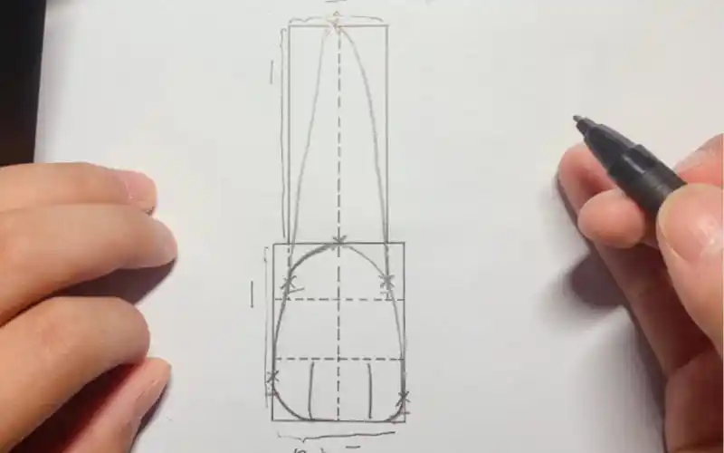 上颌中切牙唇面外形描绘
