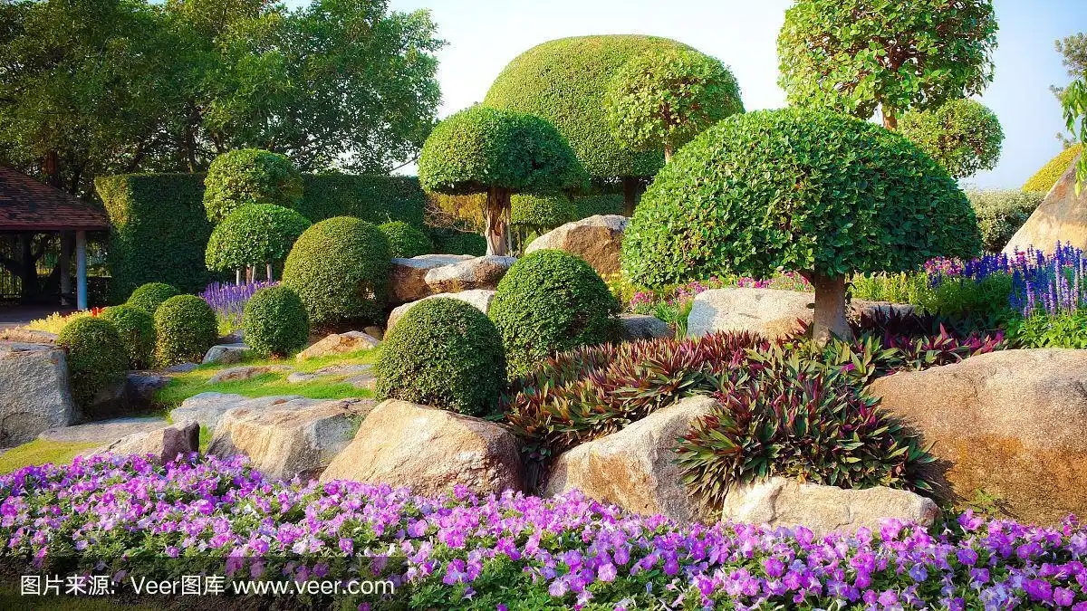 灌木花园