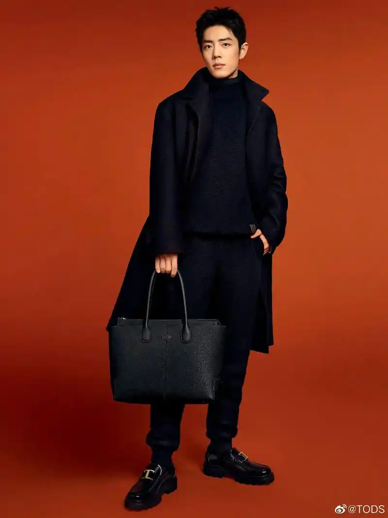#肖战低调浪漫,儒雅矜贵. #tods2022秋冬全球广告 - 抖音