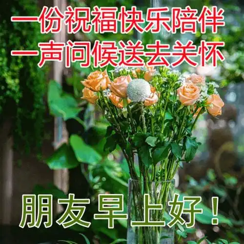 美好暖心的早安正能量问候句子最美冬季问候早上好的图片带字