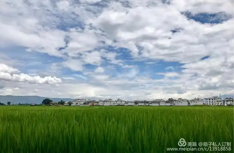 虚度·诗酒花茶——五天四夜漫游大理(着一袭轻衣薄衫,染一身阳光明媚