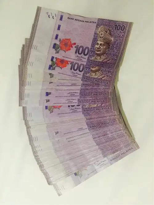 善宝堂&马来西亚寻燕之旅第二天