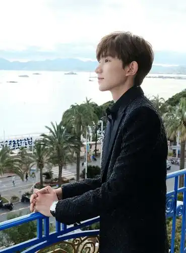 十七岁的绝版王源