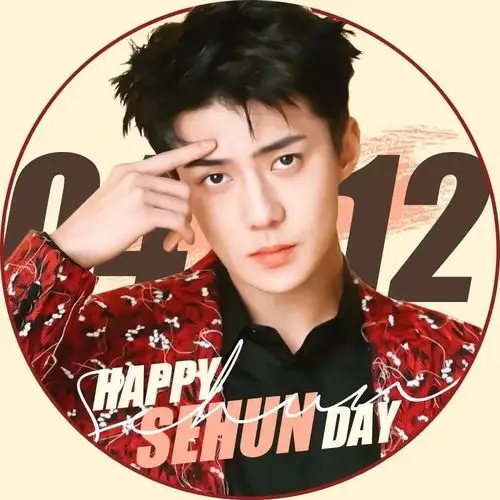 (吴世勋生日应援头像)