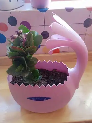 亲子环保花盆创作秀——可华幼儿园大三班