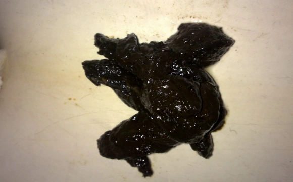 大便成黑色怎么回事 高能姐                    09-30