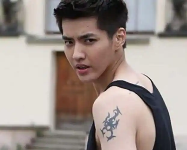 吴亦凡,你知道这是什么意思吗?吴尊,在手臂上也是很霸气了.