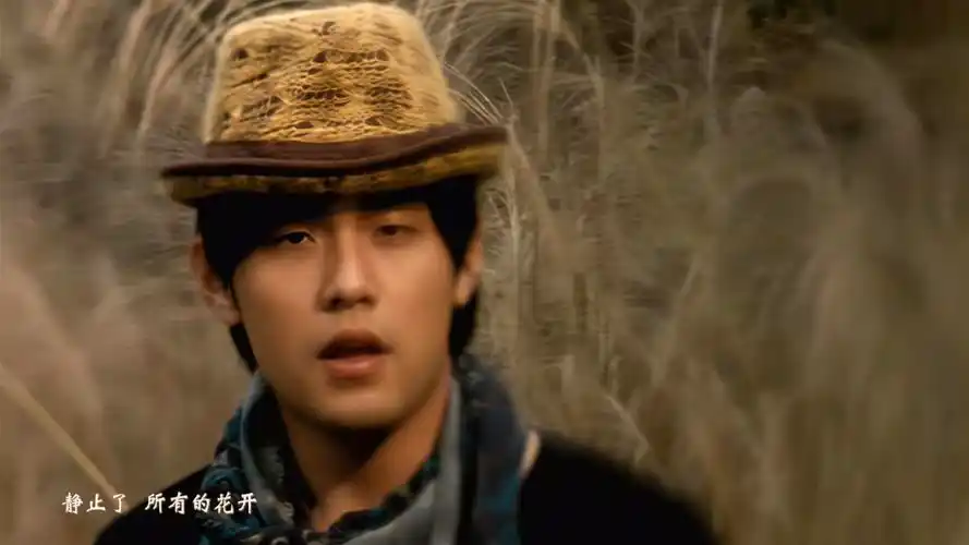 想起了周杰伦的花海