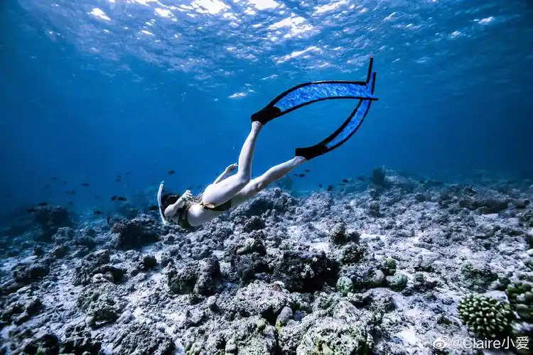 的自由潜水freediving0469谁说蓝色等于忧
