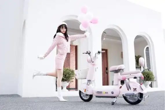 新日又一顶流适合女生骑的新款电动车推荐芭蕾公主