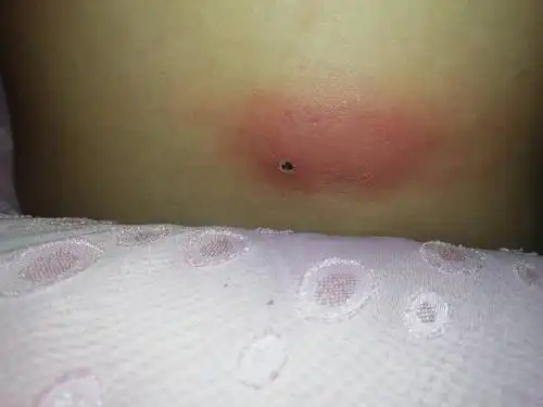 这是什么东西啊?